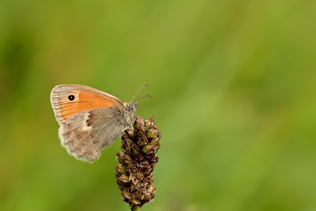 Mini Angewohnheiten, maximaler&nbsp;Erfolg